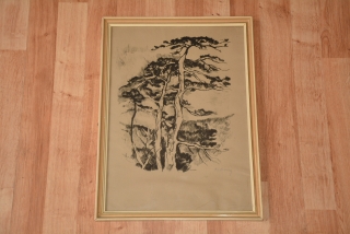 Obrázek, litografie, strom